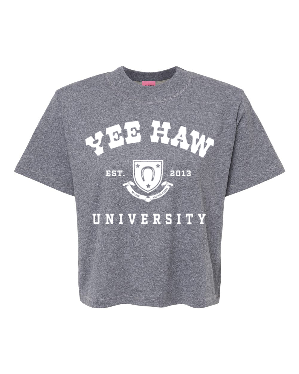 Yee Haw University Western Graphic Modern Crop Tee - Graphite